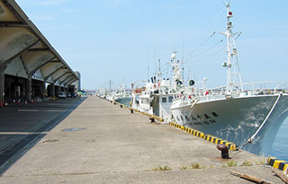 銚子漁港